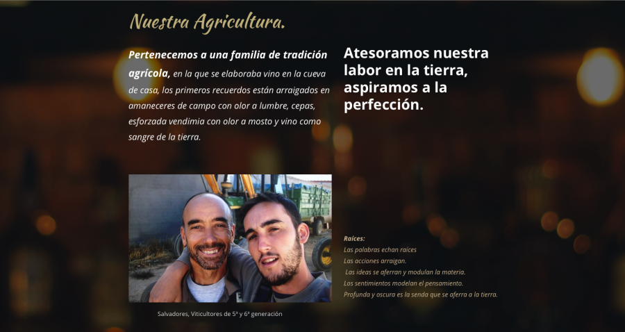 diseñador web freelance en Aranjuez. Carlos Torres