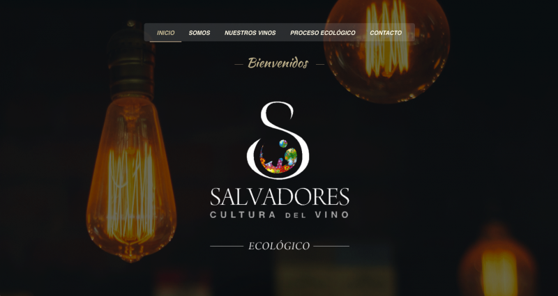 Diseñador web freelance en Aranjuez. Carlos Torres